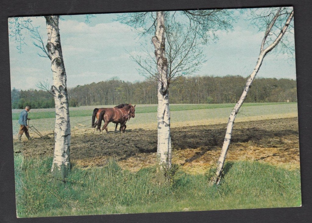 Velp Groeten Paarden voor de Ploeg 1973 gelopen, Verzenden, 1960 tot 1980, Gelopen, Gelderland