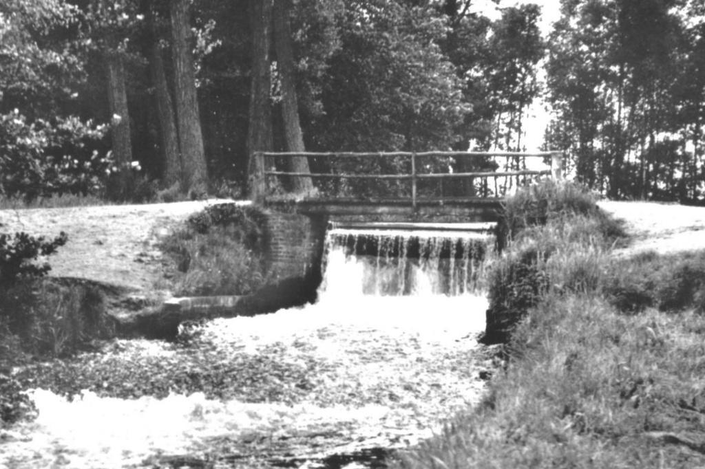 983741 Bergeijk 1965 N Br Het Schut Gelopen met postzegel, Ophalen of Verzenden, 1960 tot 1980, Gelopen, Noord-Brabant