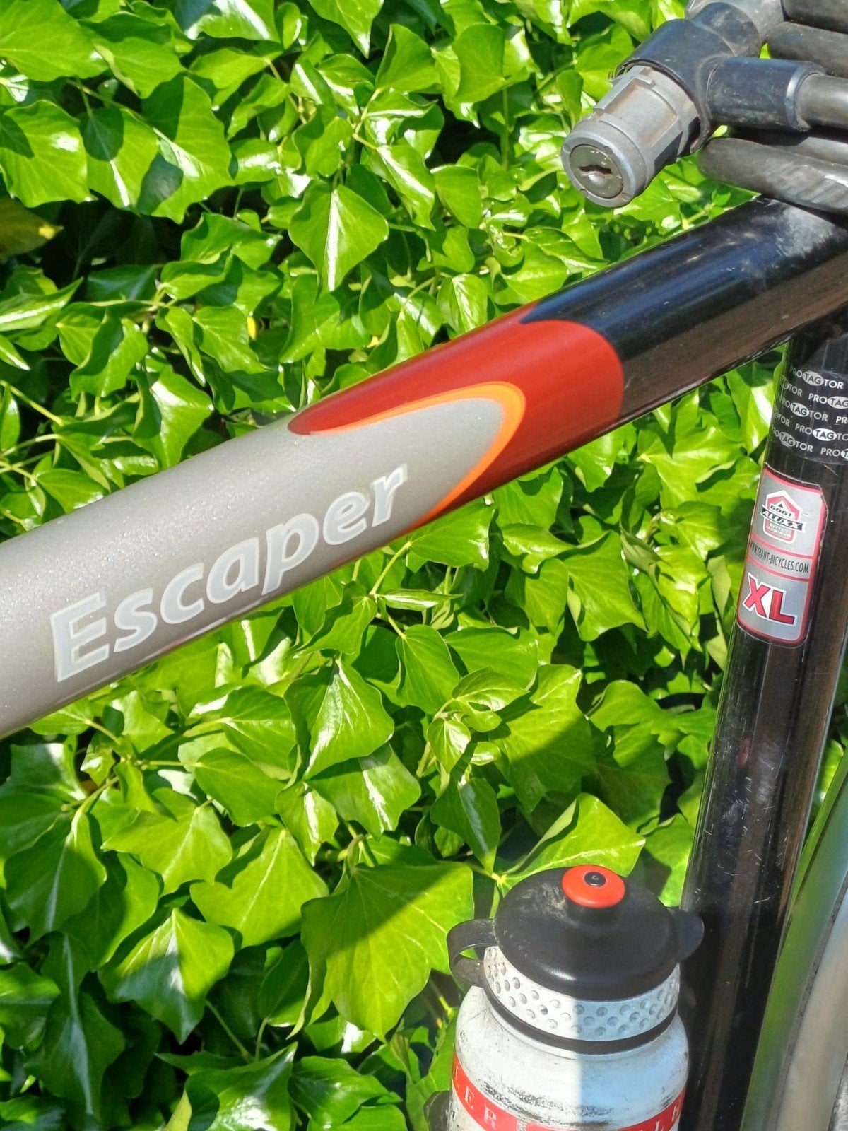 Giant escaper, Fietsen en Brommers, Fietsen | Heren | Herenfietsen, 57 tot 61 cm, Ophalen, Gebruikt, Giant