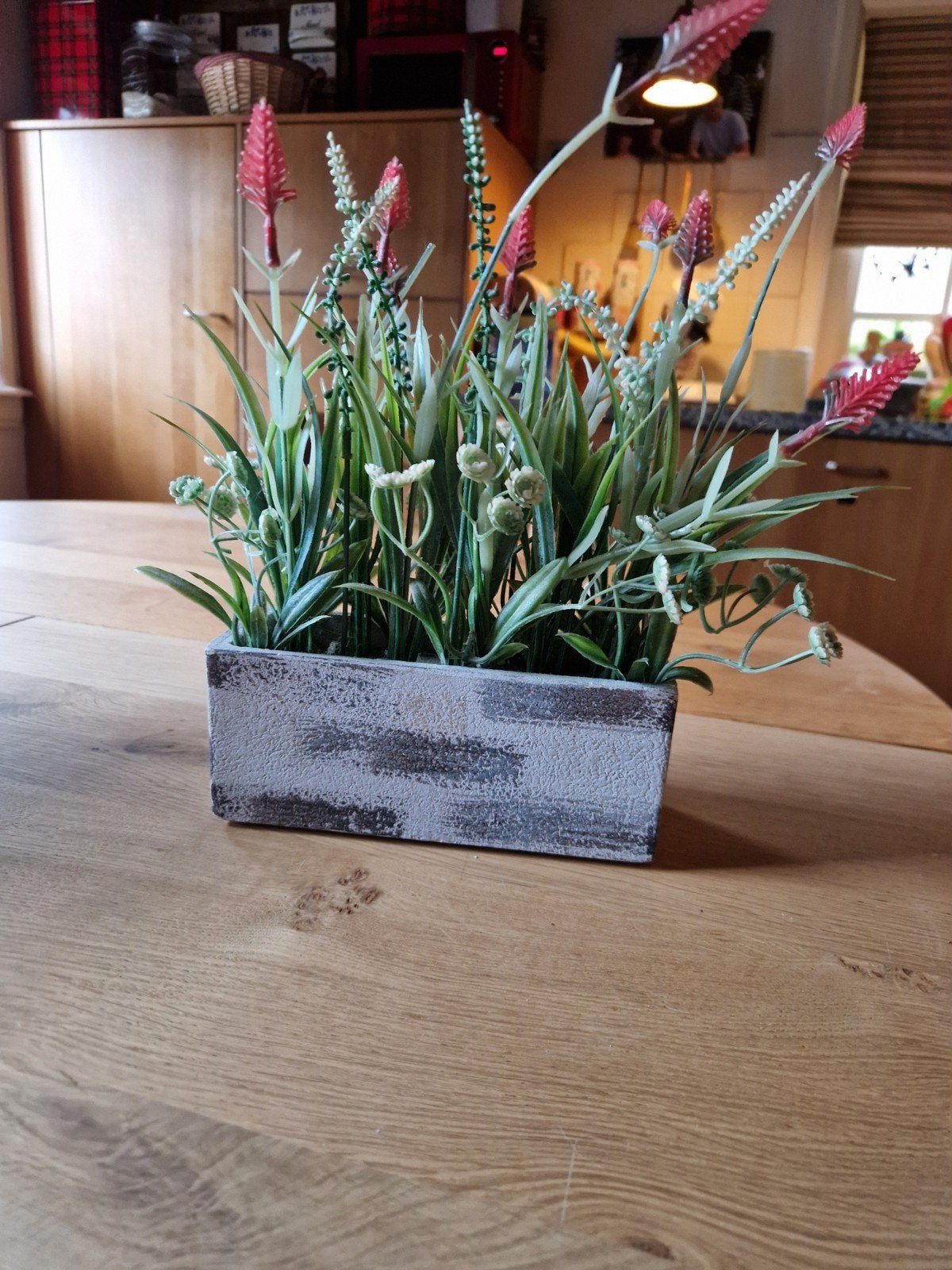 NEP PLANTJES BAK DECORATIE, Ophalen of Verzenden