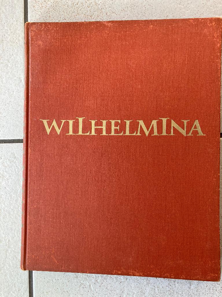 twee boeken Wilhelmina, Ophalen of Verzenden, Jane de Iongh, 20e eeuw of later, Gelezen