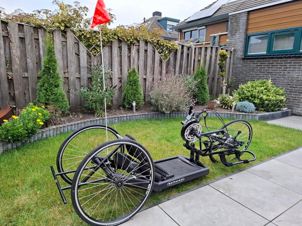 Wolturnus ligfiets, Ophalen, Gebruikt, Overige merken