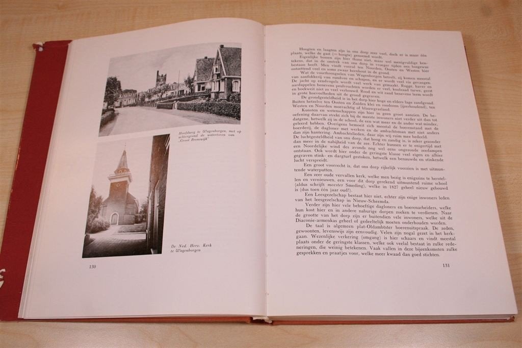 Groot Bronswijk Wagenborgen — 100 jr psychiatrie [1873-1973], Ophalen of Verzenden, Gelezen