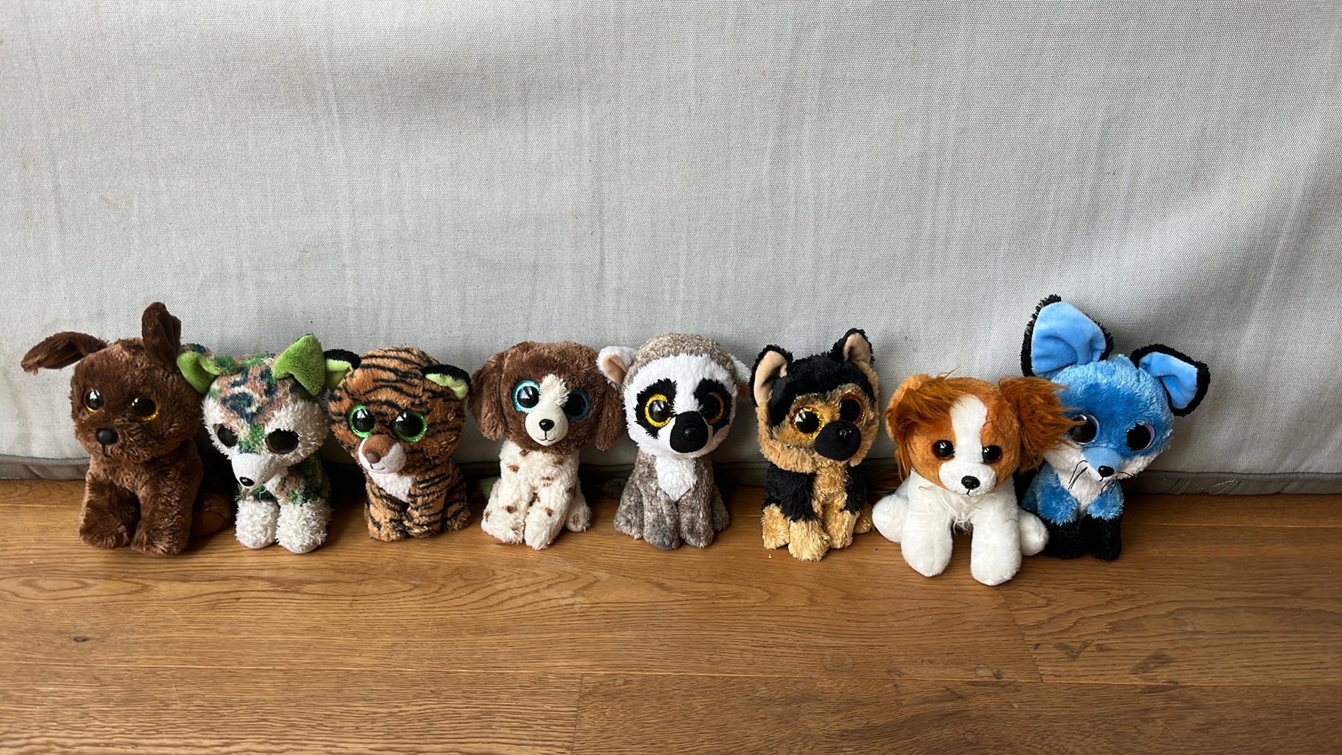 Beanie boo (ty) hond, Ophalen, Gebruikt, Hond