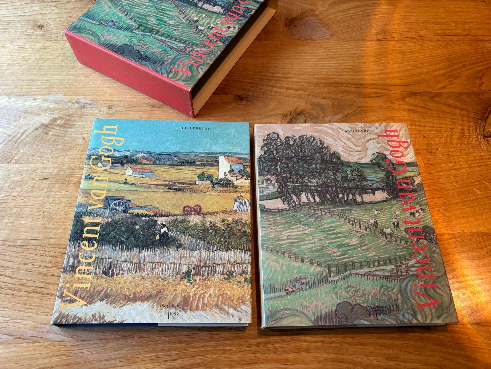 Vincent van Gogh: Schilderijen en Tekeningen (2 delen), Ophalen of Verzenden, Zo goed als nieuw, Schilder- en Tekenkunst