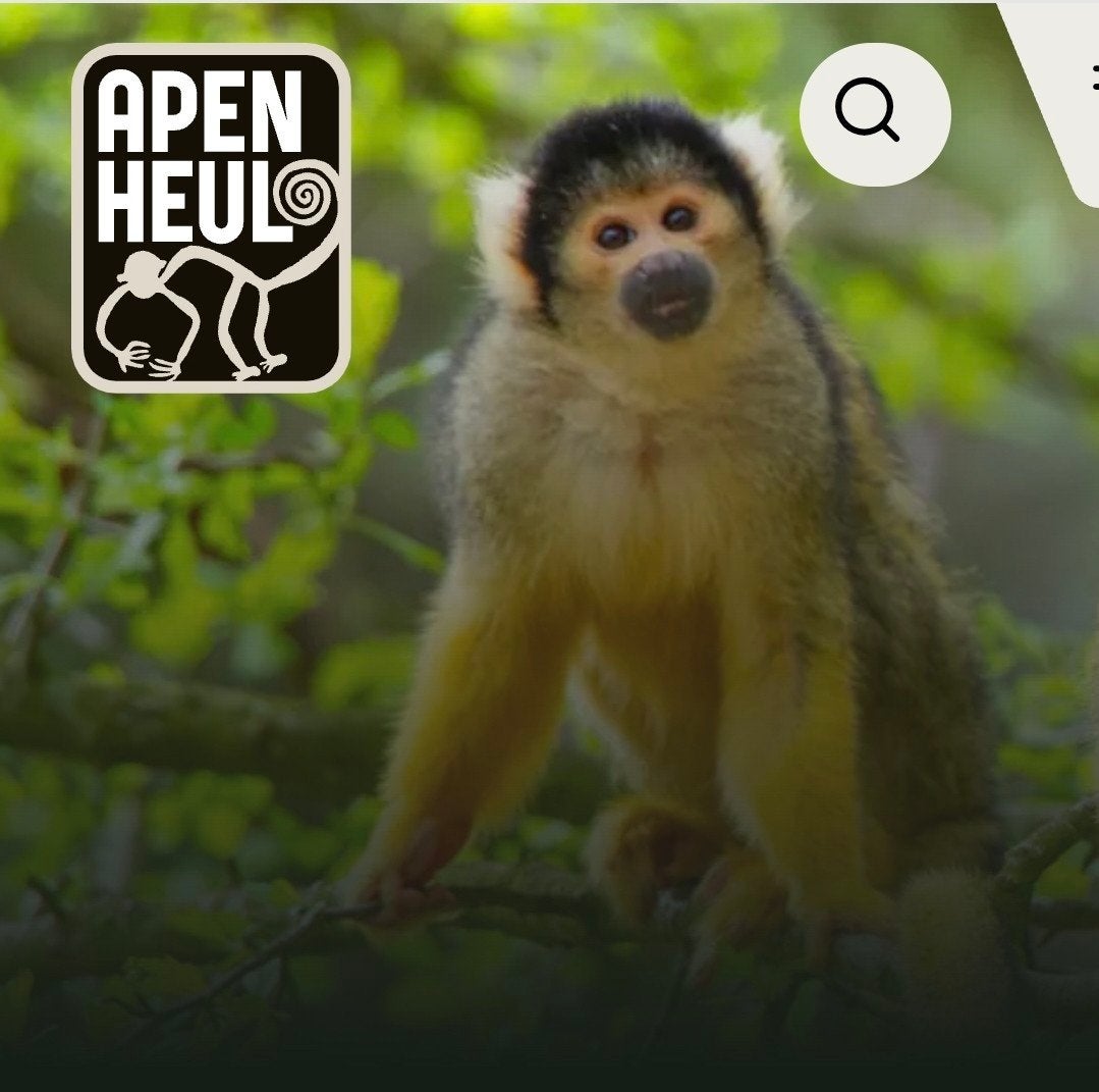 2 tickets Apenheul 35 euro, Tickets en Kaartjes, Twee personen, Ticket of Toegangskaart