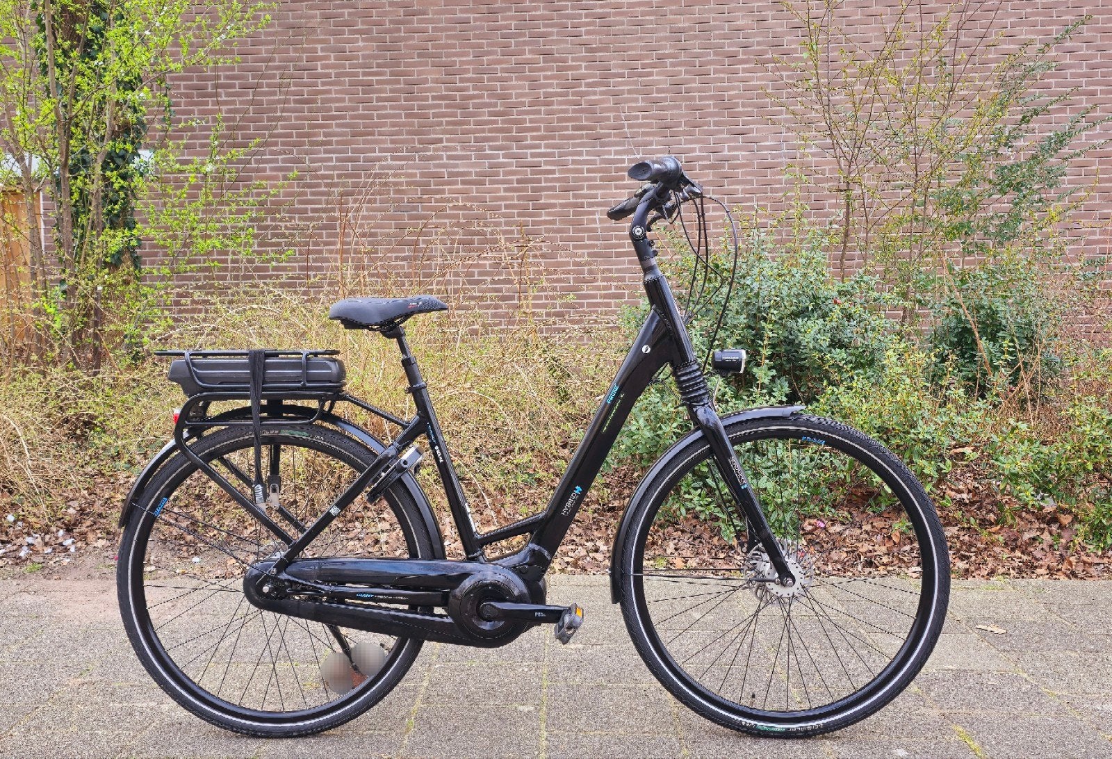 e koop: Giant Entour dames elektrische fiets, 51 tot 55 cm, Ophalen, Zo goed als nieuw, Overige merken
