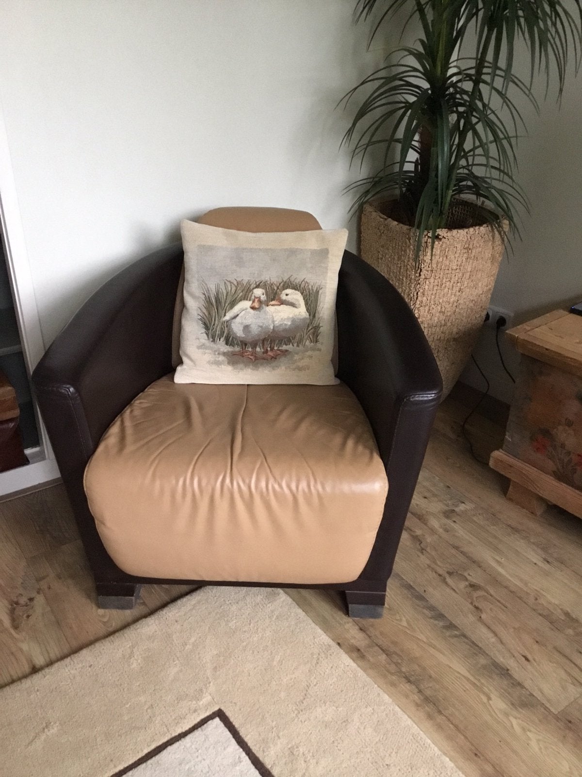 2 Leren kuipstoelen, Ophalen, Zo goed als nieuw, 75 tot 100 cm, 50 tot 75 cm