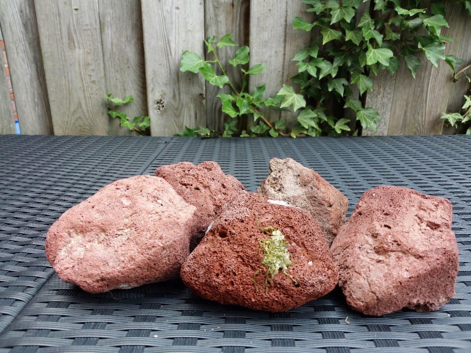 Lava stenen 5 stuks, Ophalen, Plant(en), Steen of Hout