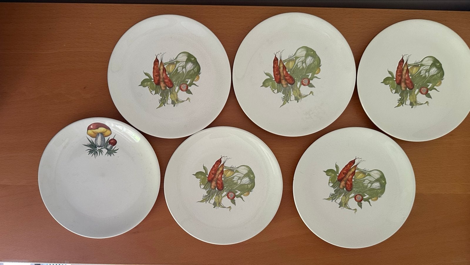 Vintage Villeroy & Boch Botanica bordjes - 6 stuks, Ophalen of Verzenden