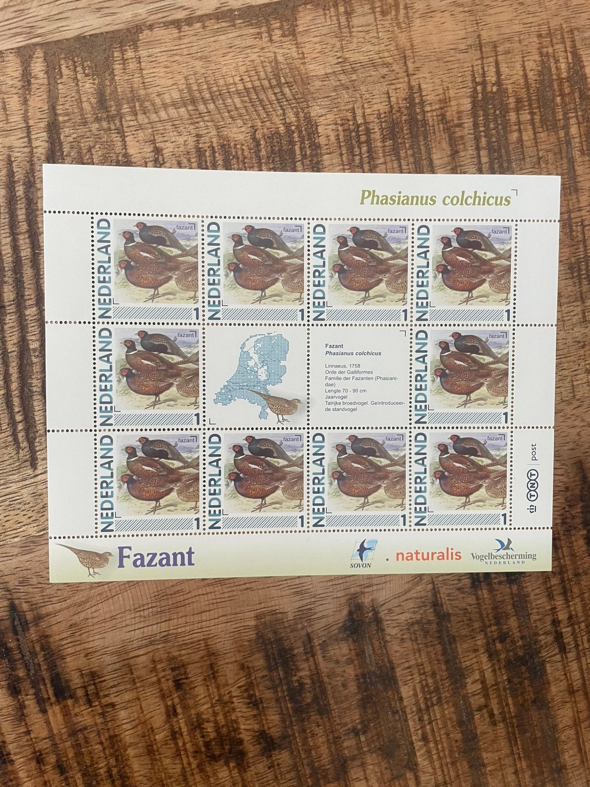 Vel Persoonlijke Postzegels Vogels in Ned Fazant.Postfris., Postzegels en Munten, Postzegels | Nederland, Ophalen of Verzenden
