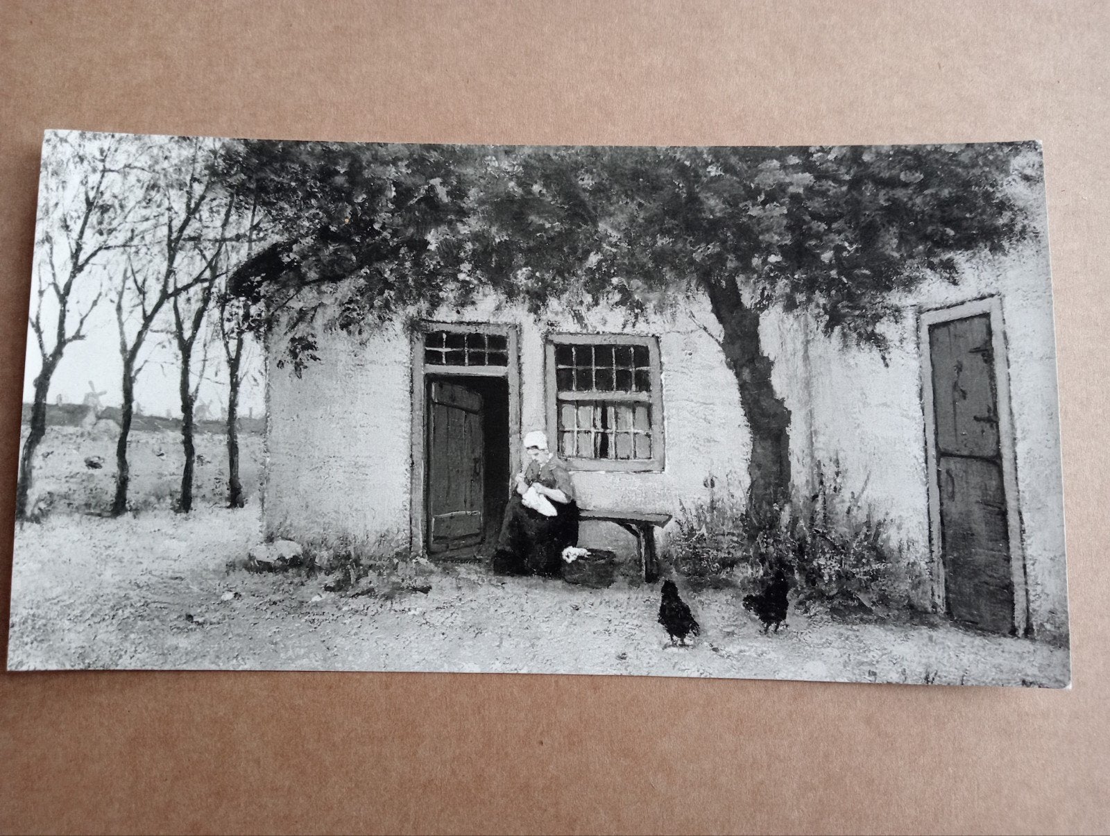 Pieter Scheen Kunsthandel foto A Dingjan, Verzamelen, Foto's en Prenten, Ophalen of Verzenden, 1960 tot 1980, Gebruikt, Overige onderwerpen