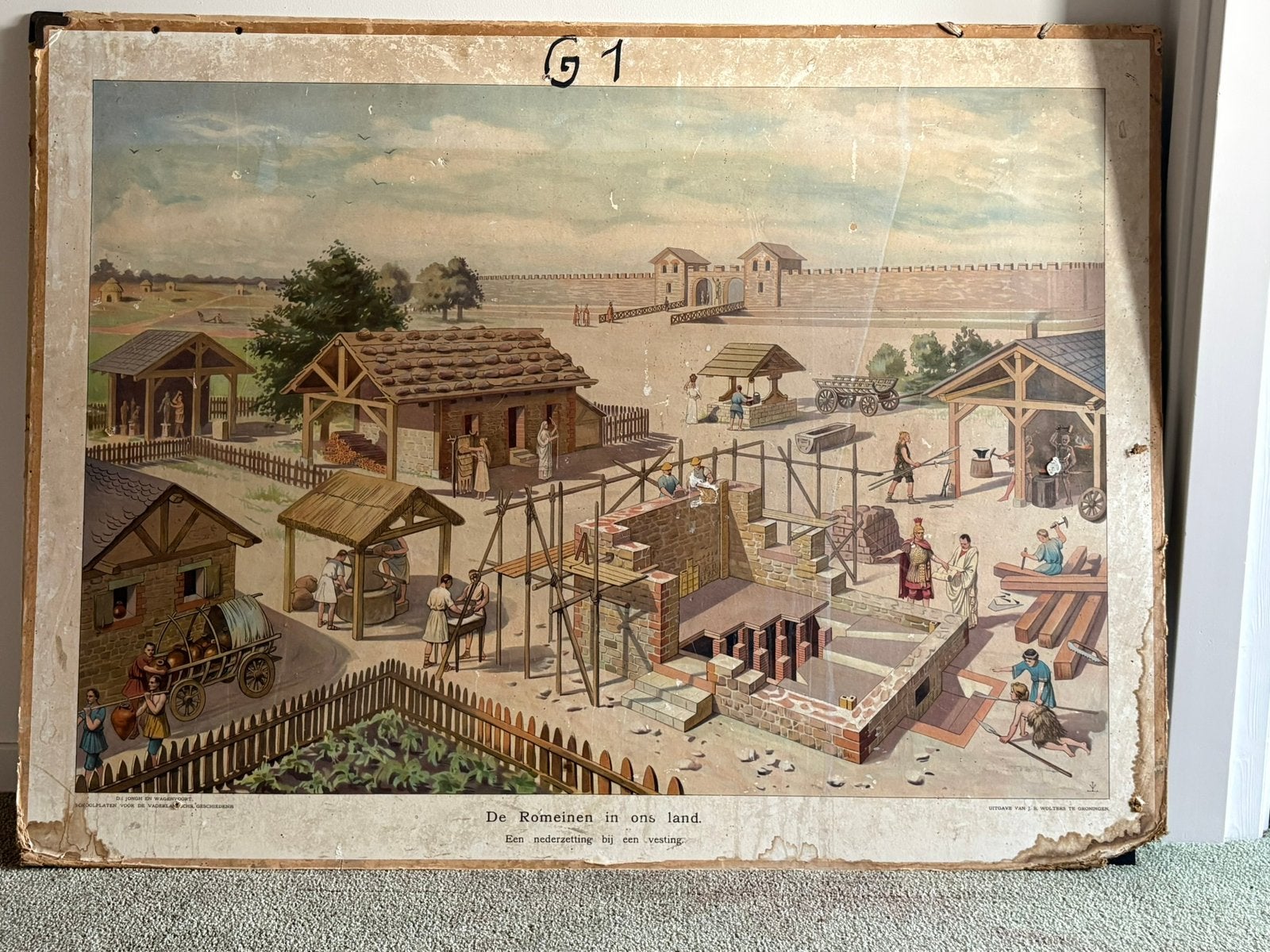 Vintage schoolplaten, Ophalen of Verzenden, Natuur en Biologie