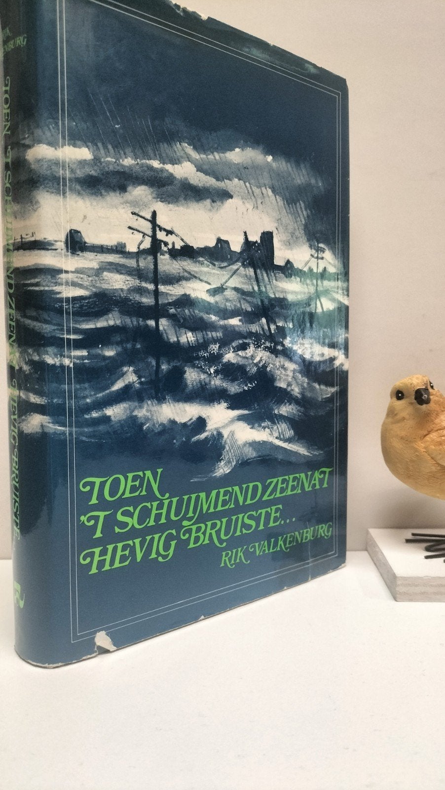 Valkenburg, Rik; Toen ‘t schuimend zeenat..  dl 1 en 2, Boeken, Geschiedenis | Stad en Regio, Ophalen of Verzenden, Gelezen