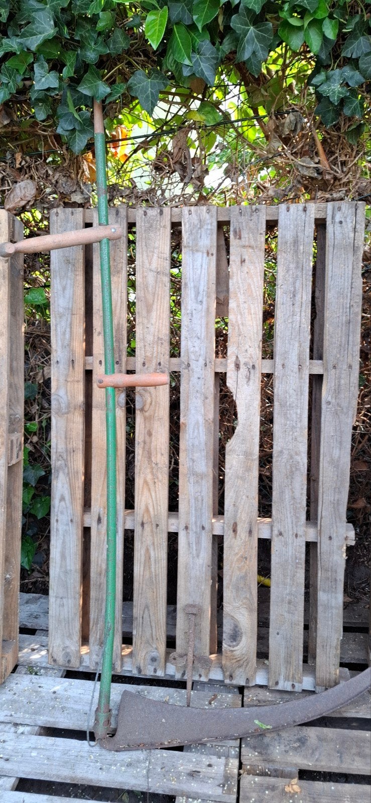Oude handzeis met haarspit, Ophalen