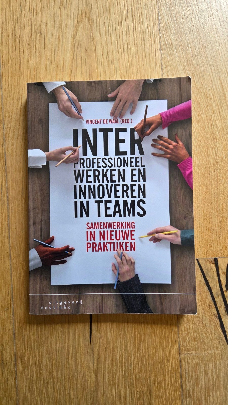 Interprofessioneel werken en innoveren in teams, Ophalen of Verzenden, Zo goed als nieuw, Vincent de Waal (red.)