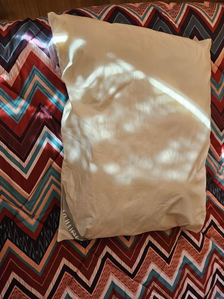 Yumeko Eco Wollen Kussen 50x60 - 100% Biologische Wol, Ophalen of Verzenden