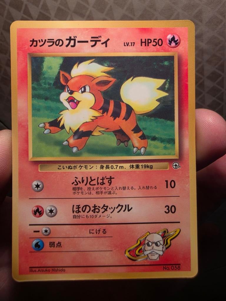 Blaine's Growlithe (UNP)
Unnumbered Promos, Hobby en Vrije tijd, Verzamelkaartspellen | Pokémon, Ophalen of Verzenden, Zo goed als nieuw