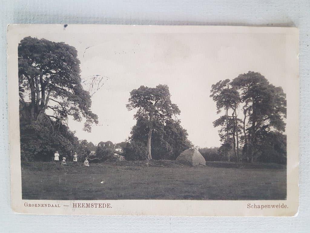 Ansichtkaart Heemstede Groenendaal Schapenweide, Ophalen of Verzenden, Voor 1920, Gelopen, Noord-Holland