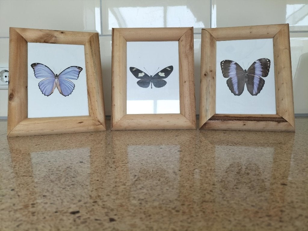 3 prachtige fotolijsten boom hout lijst bolvormig vlinder, 19 cm, 24 cm, Ophalen of Verzenden, Zo goed als nieuw