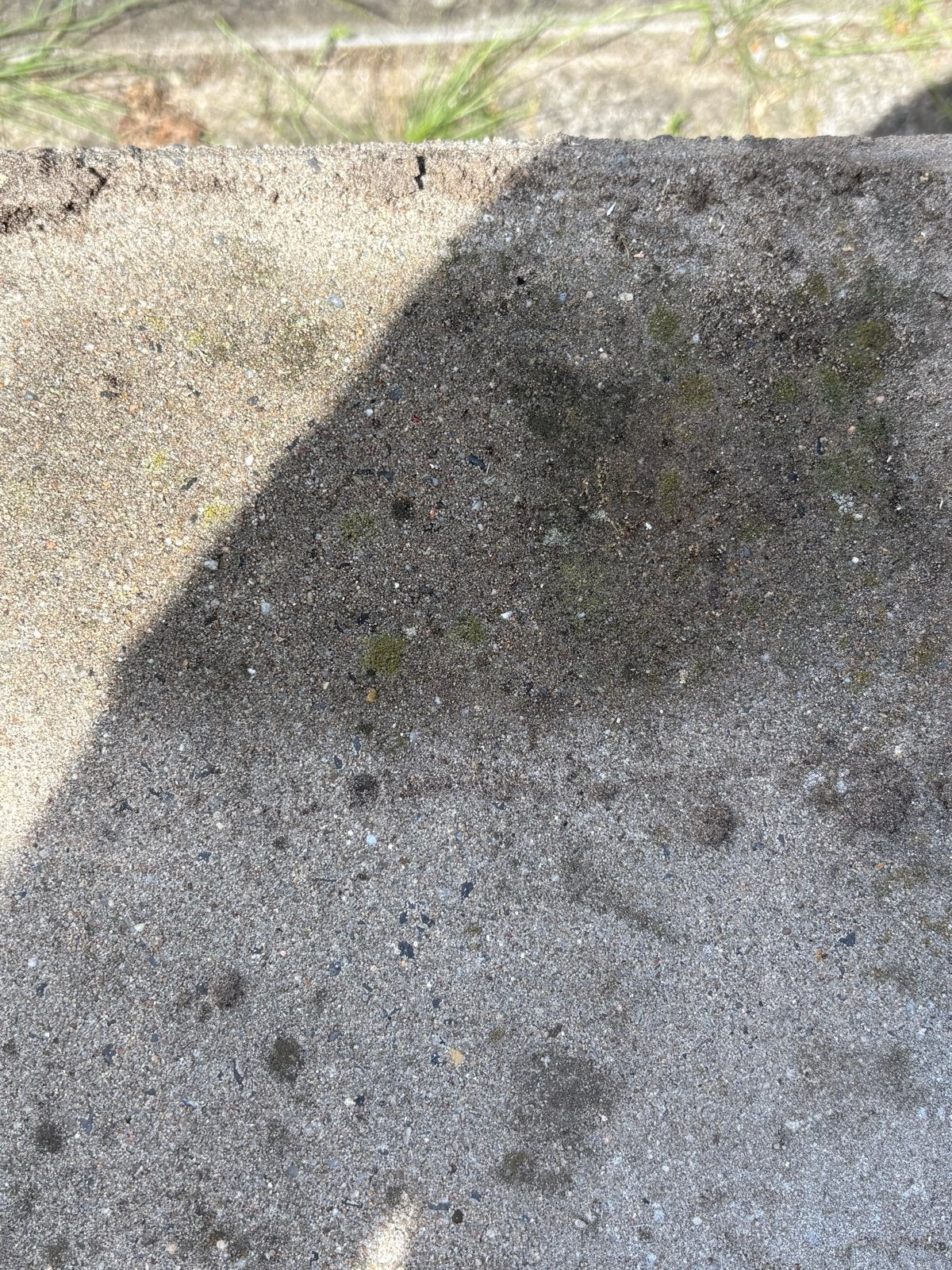 Gratis tuintegels 30x30 - Ophalen, Tuin en Terras, Tegels en Klinkers, Gebruikt, Ophalen of Verzenden, 10 m² of meer, Beton