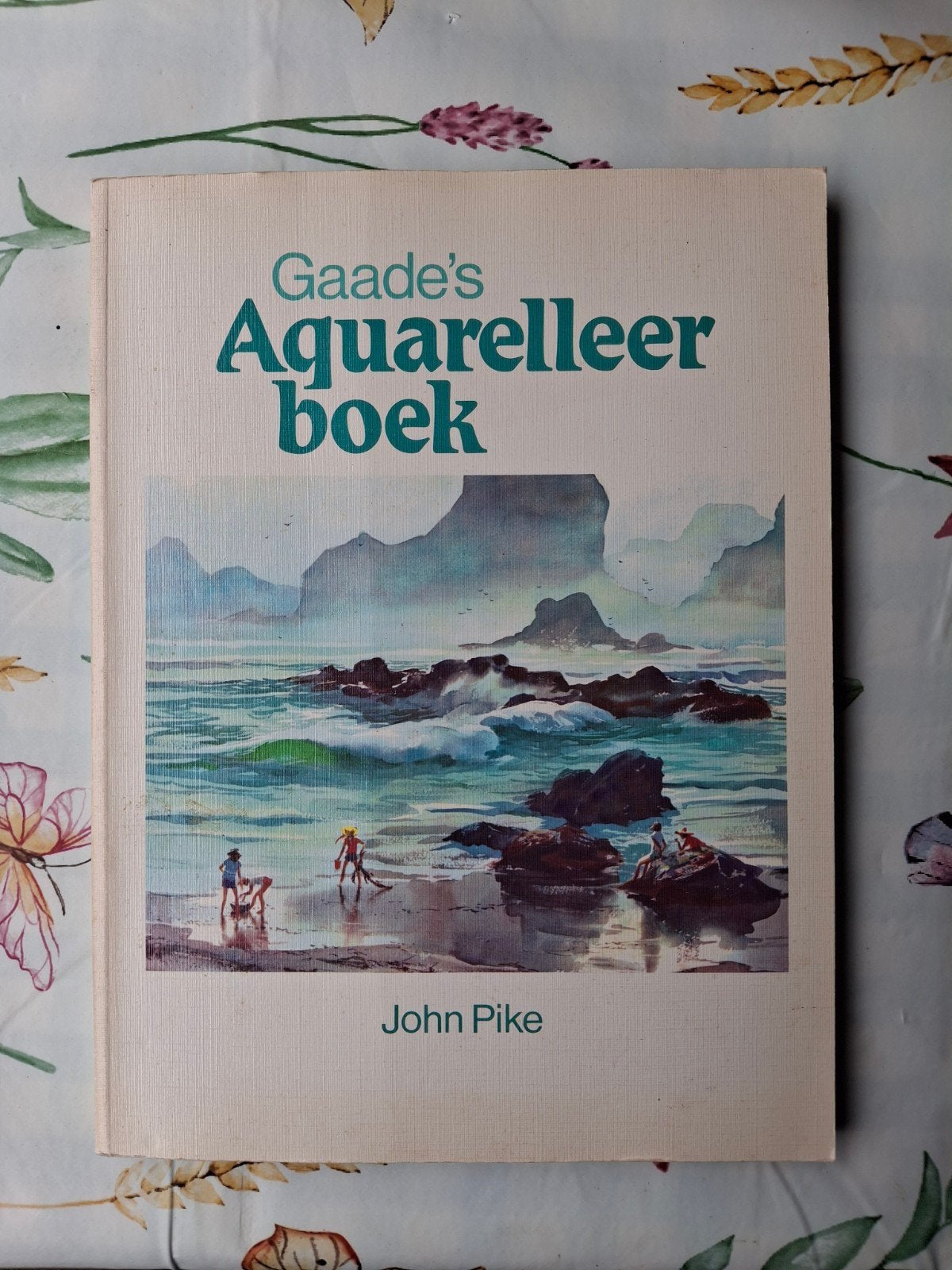 Gaade's Aquarelleerboek - John Pike (Vintage), Boeken, Ophalen of Verzenden, Gelezen, Overige onderwerpen, John Pike