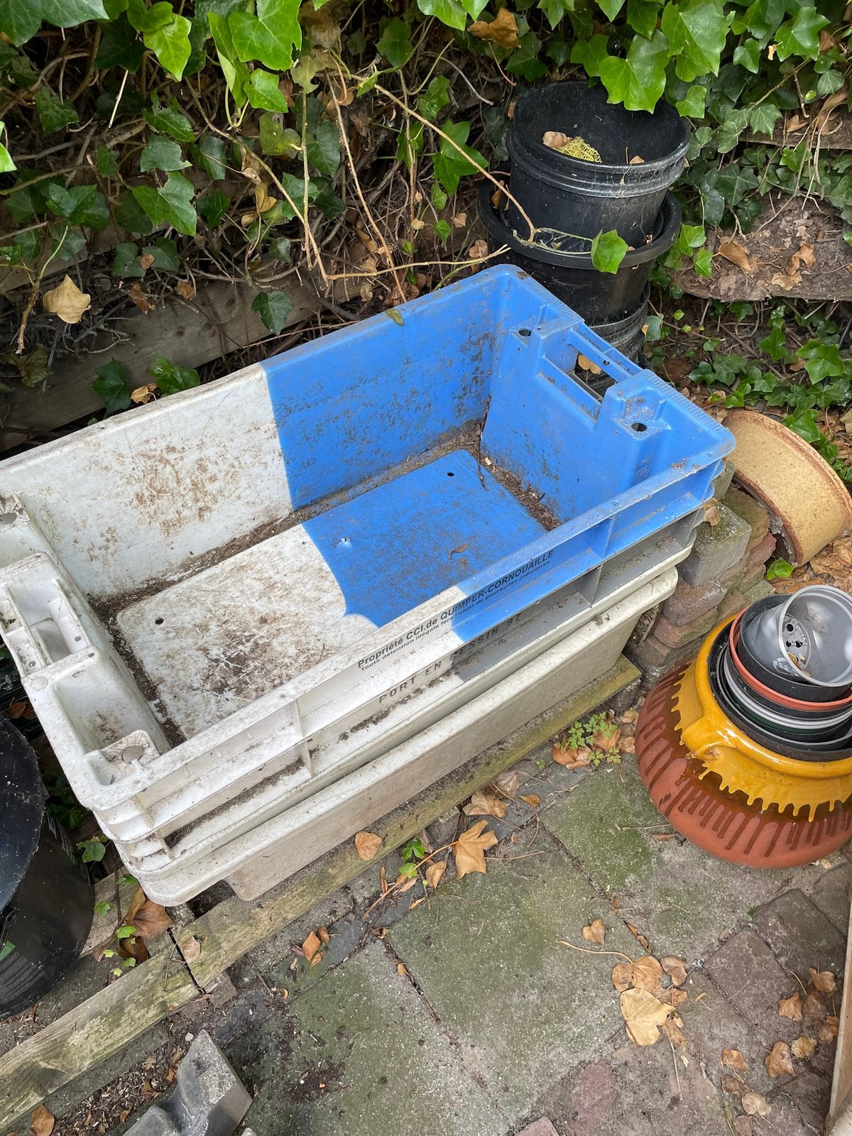 6 viskisten, gebruikt, Doe-het-zelf en Verbouw, Kratten en Dozen, Ophalen, 100 cm of meer, 60 cm of meer, Minder dan 35 cm