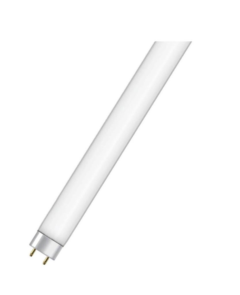 UV-A Blacklight TL-buizen BL368 15W (25 stuks), Ophalen of Verzenden