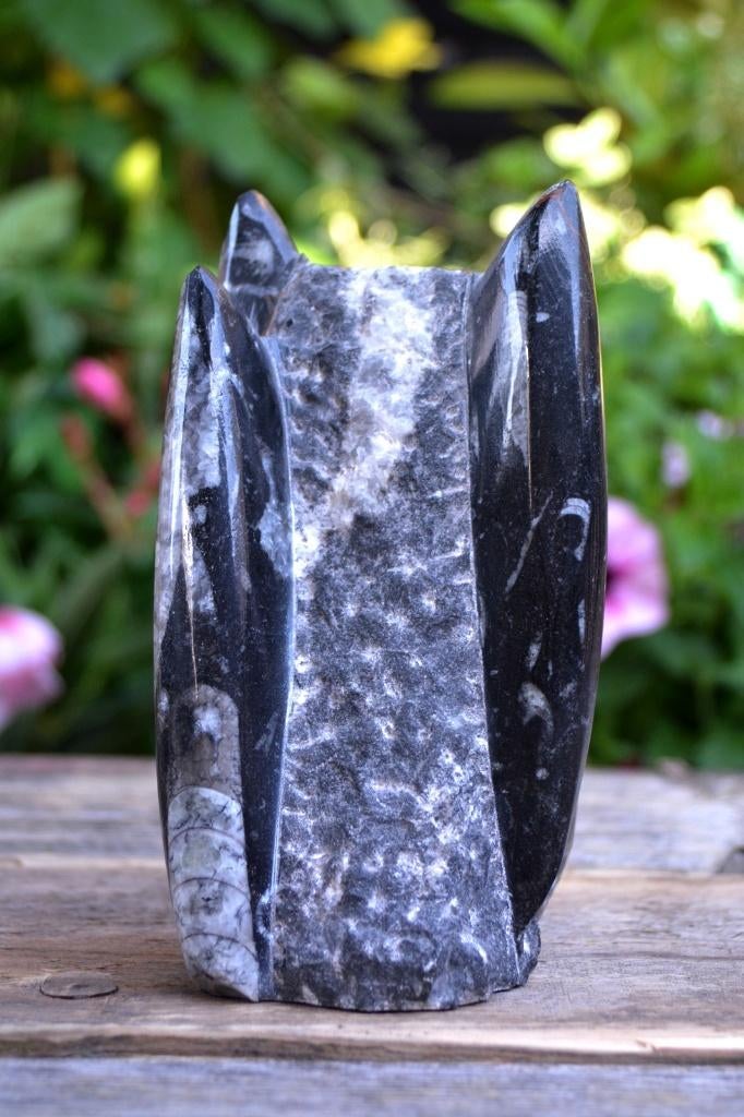 Orthoceras sculptuur (nr. 1), Ophalen of Verzenden, Fossiel