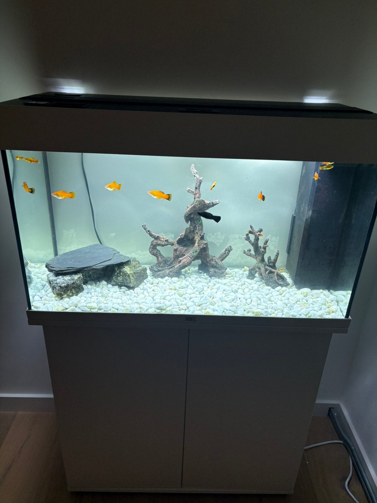 Aquarium juwel wit 125 liter, Ophalen, Zo goed als nieuw, Leeg aquarium