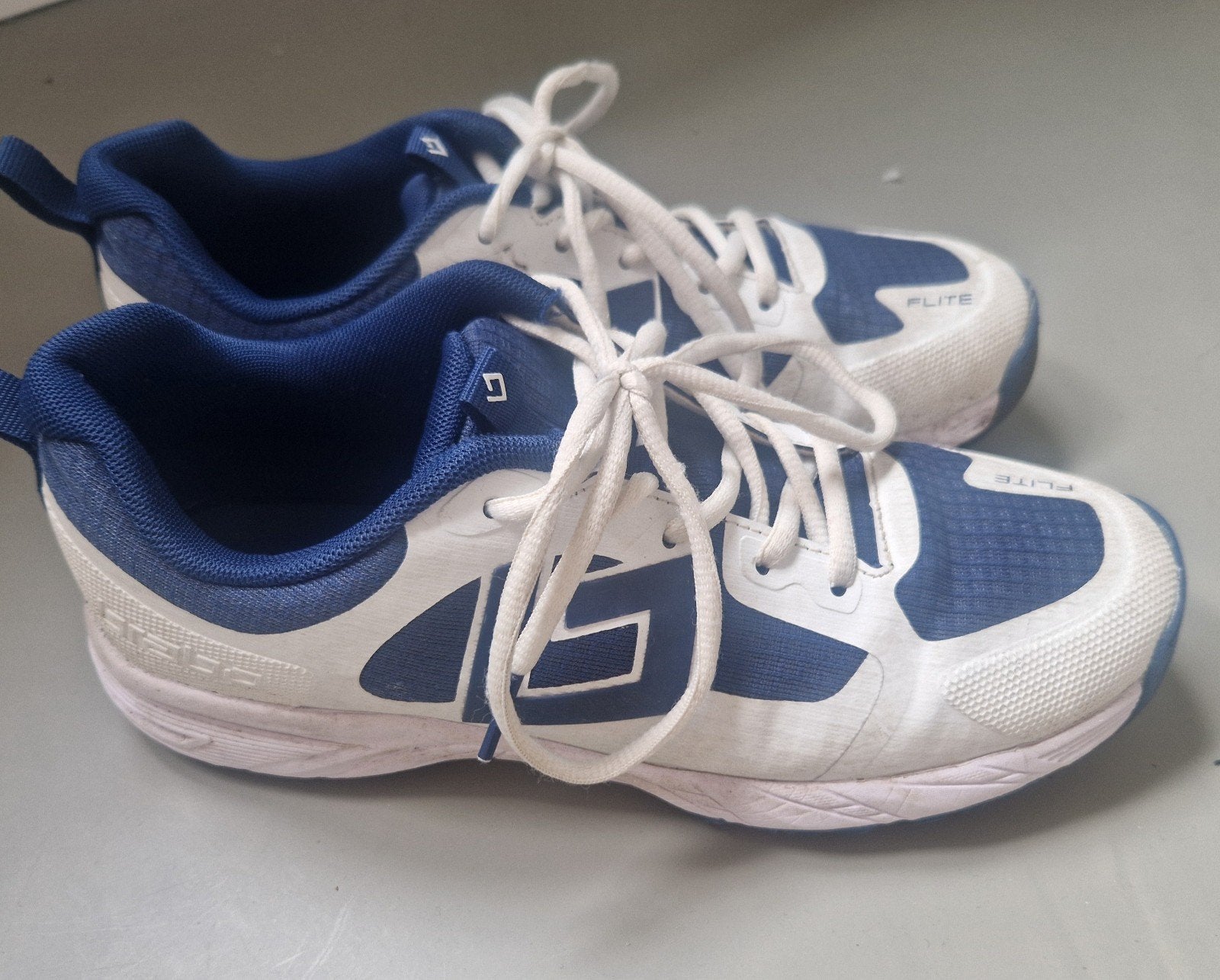 vedhockeyschoenen aesics maat 41, Sport en Fitness, Hockey, Ophalen, Zo goed als nieuw, Schoenen