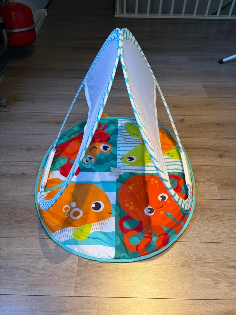 Fisher Price Draagbare Baby Gym - Speelplezier & Ontwikkelin, Ophalen, Gebruikt, Overige typen