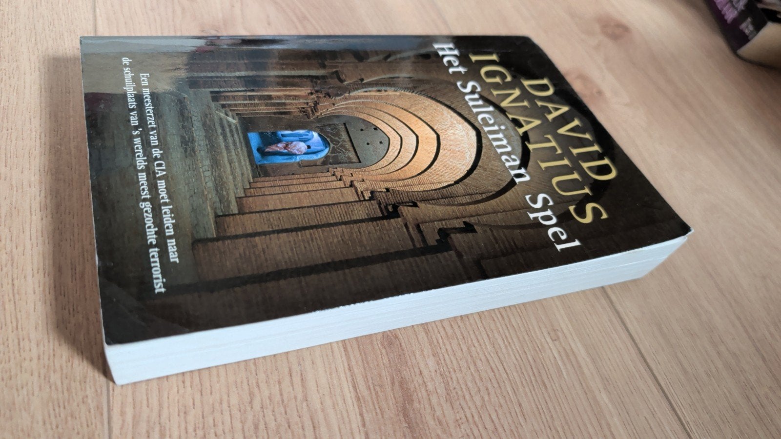David Ignatius - Het Suleiman Spel, Boeken, Ophalen of Verzenden, Zo goed als nieuw, David Ignatius, Amerika