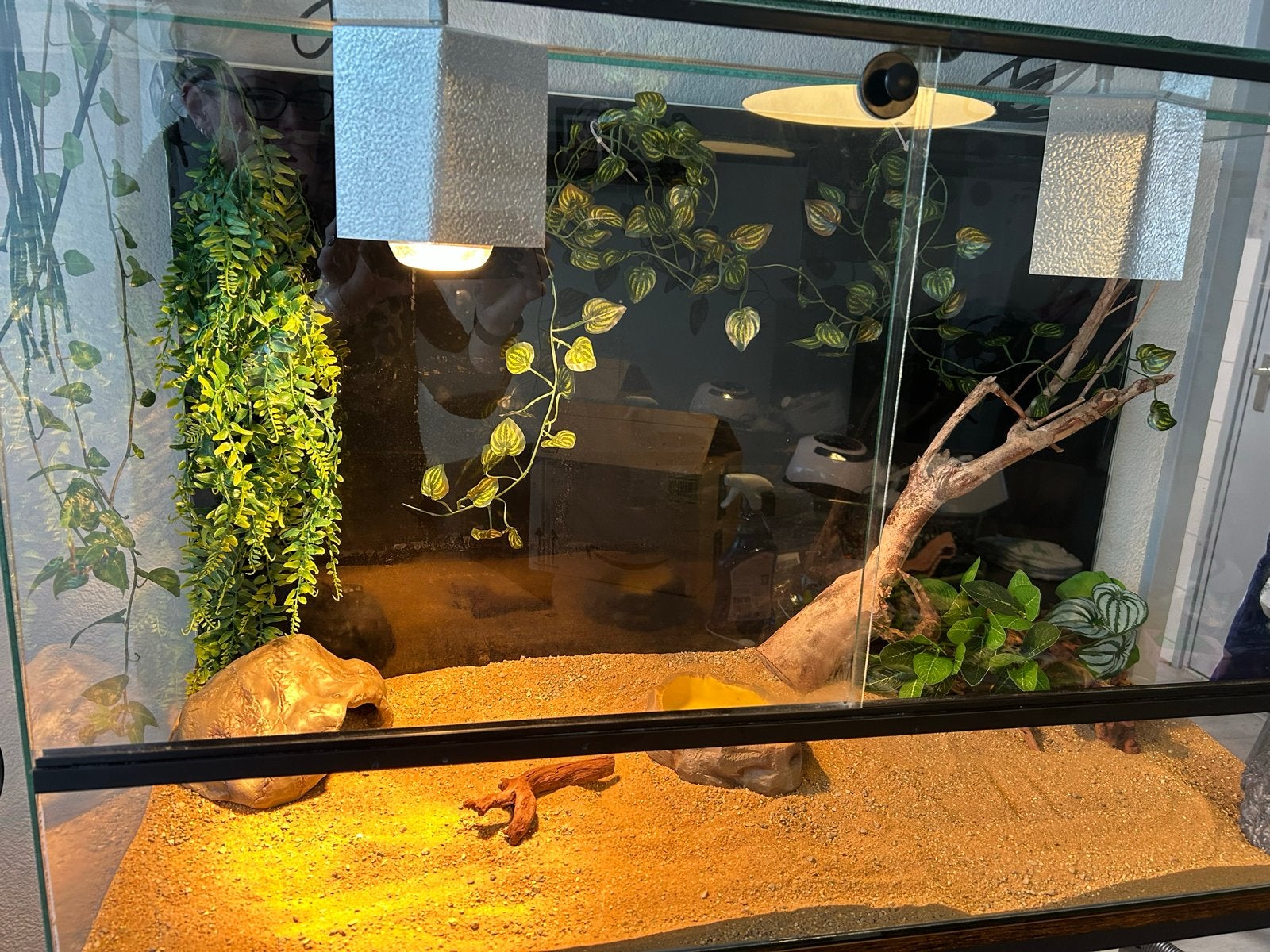 Terrarium 100x40x60, Ophalen, Gebruikt