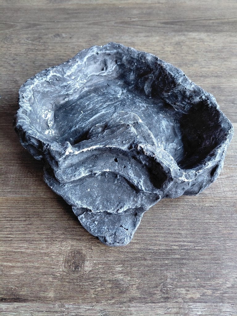 Voerbak terrarium Komodo, Dieren en Toebehoren, Ophalen, Gebruikt, Tak, Plant, Rots of Steen