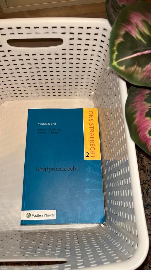 B.F. Keulen - Strafprocesrecht - 14e druk, Sociale wetenschap, Zo goed als nieuw, B.F. Keulen, Ophalen of Verzenden