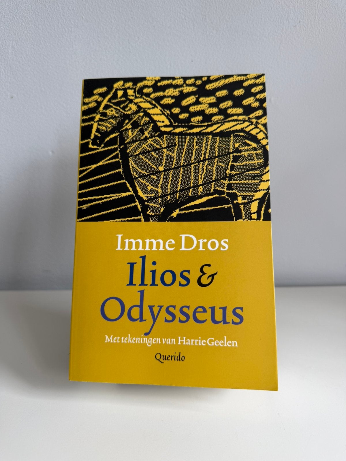 Imme Dros - Ilios & Odysseus, Boeken, Ophalen of Verzenden, Zo goed als nieuw, Imme Dros