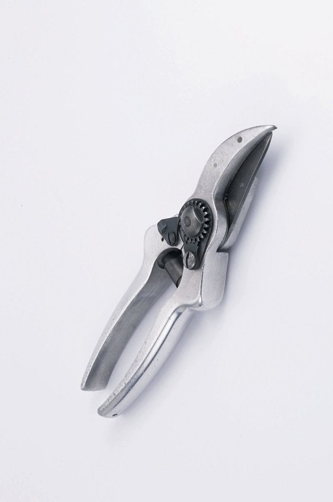 Felco 1 graag de tekst lezen, Tuin en Terras, Ophalen, Gebruikt, 20 t/m 29 mm, Felco