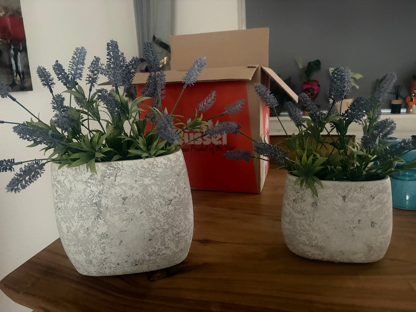 2 PTMD bloempotten met lavendel, Ophalen, Binnen, Zo goed als nieuw, Overige vormen