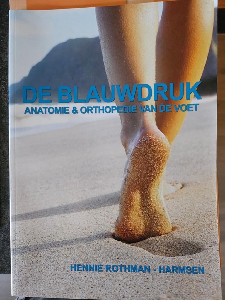 H.A. Rothman-Harmsen - De blauwdruk, Ophalen of Verzenden, Zo goed als nieuw, H.A. Rothman-Harmsen, Nederlands