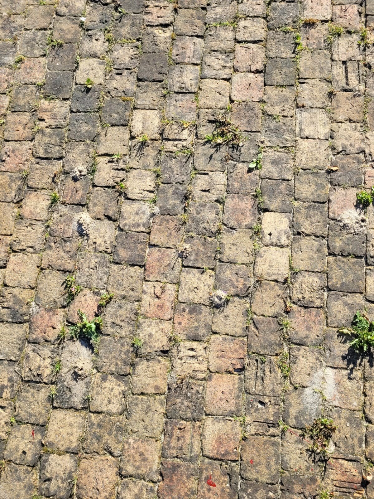 Oude coubblestones, Tuin en Terras, Tegels en Klinkers, Ophalen, Klinkers