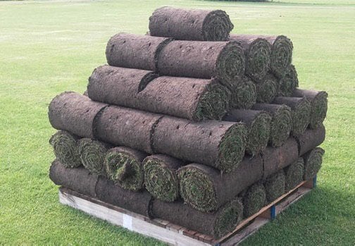 Graszoden vanaf vrijdag weer af te halen op bestelling, Ophalen, Nieuw, 20 m² of meer, Gras