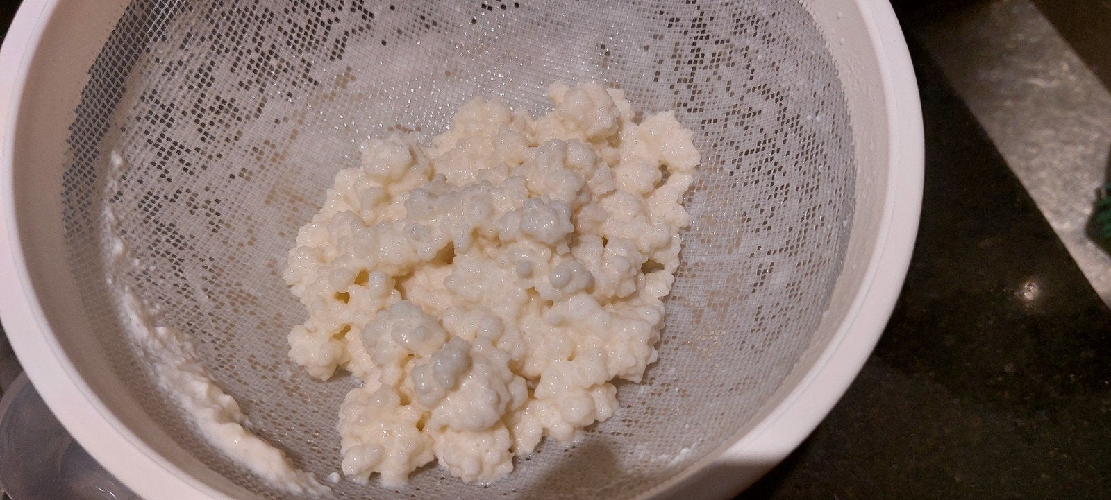 Melk kefir korrels vers, Diversen, Levensmiddelen, Ophalen of Verzenden