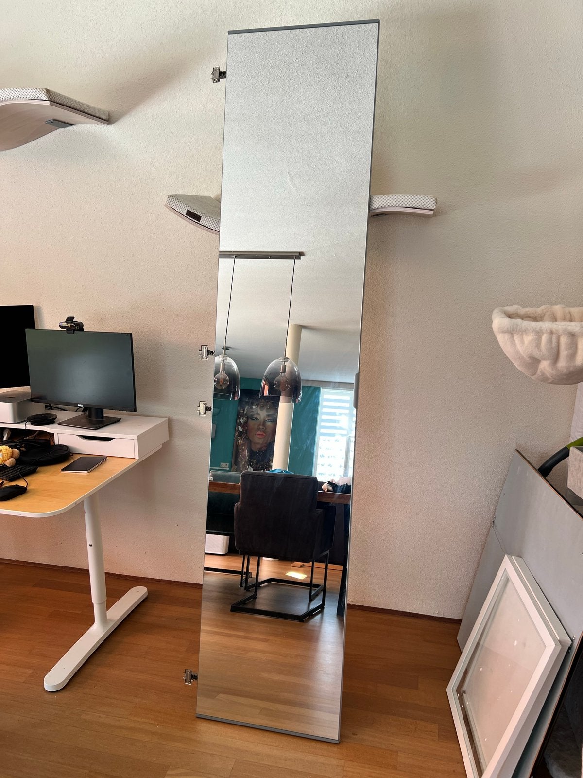 IKEA Pax Aheim spiegeldeur en Forsand deuren 50x229cm, Huis en Inrichting, Kasten | Kledingkasten, Ophalen, Gebruikt, 200 cm of meer