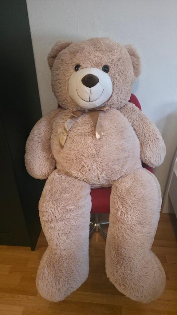 Bear, Ophalen of Verzenden