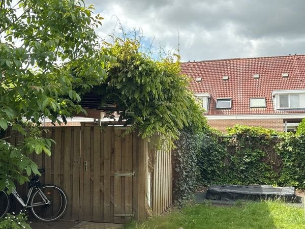 Schutting (5 meter met poort), Tuin en Terras, Ophalen, 6 meter of meer, Hout, 1 tot 2 meter
