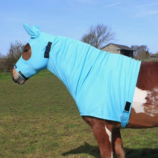 Snuggy hoods hals deken, Ophalen of Verzenden, Nieuw
