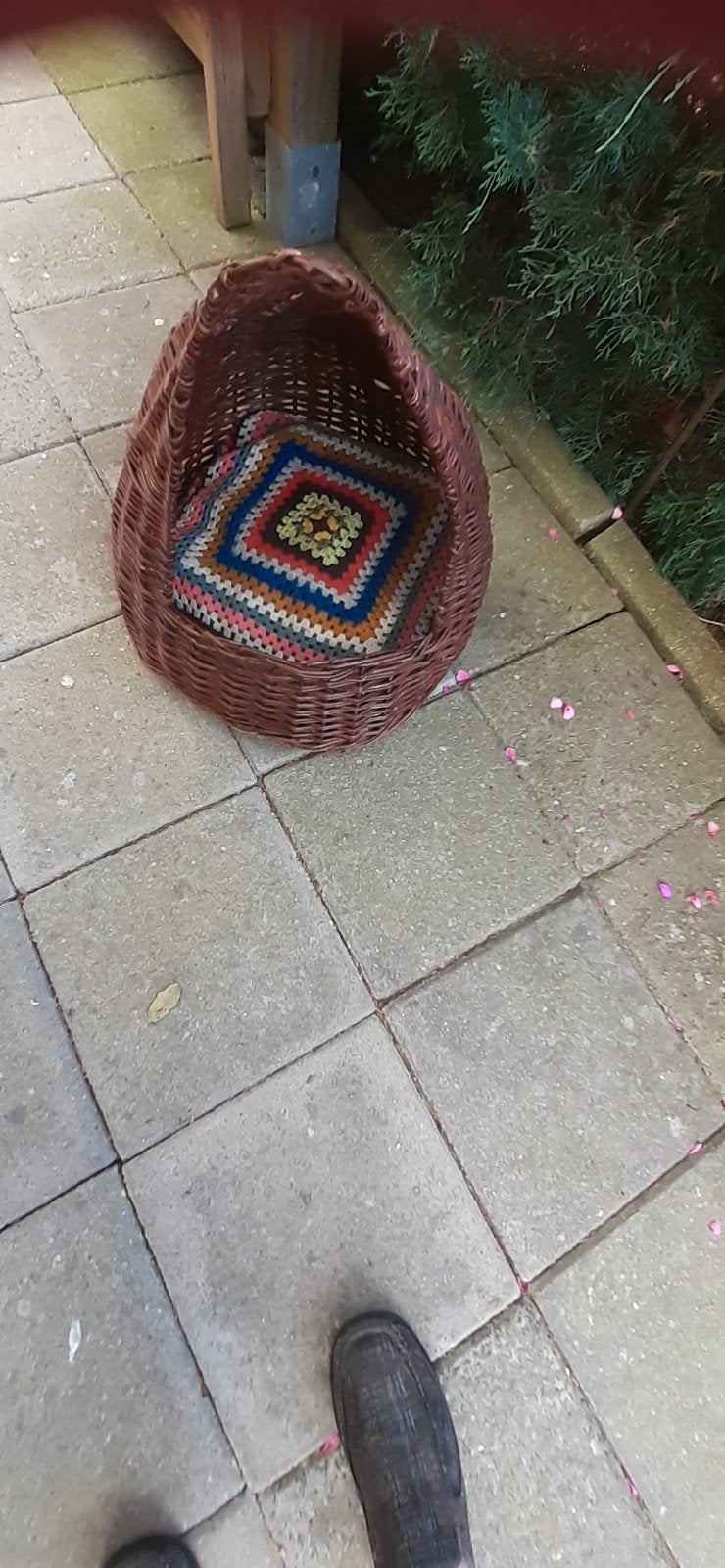Kattenmand, Dieren en Toebehoren, Ophalen, Riet