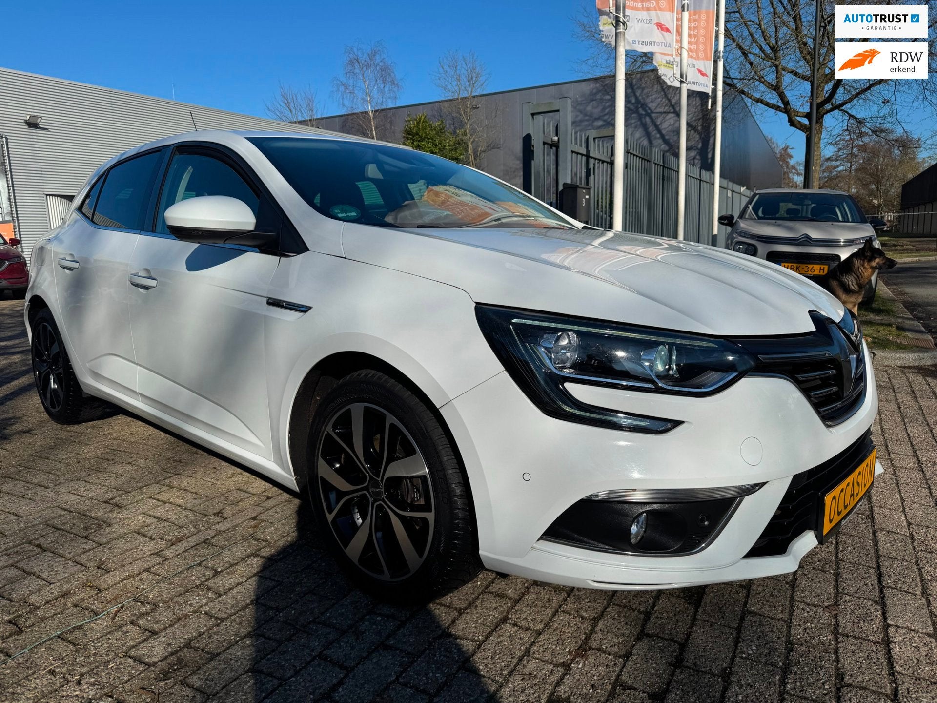 Renault Mégane 1.3 TCe Bose camera, pdc, clima, groot displ, Auto's, Renault, Dealer onderhouden, Gebruikt, 4 cilinders, Met garantie (alle)