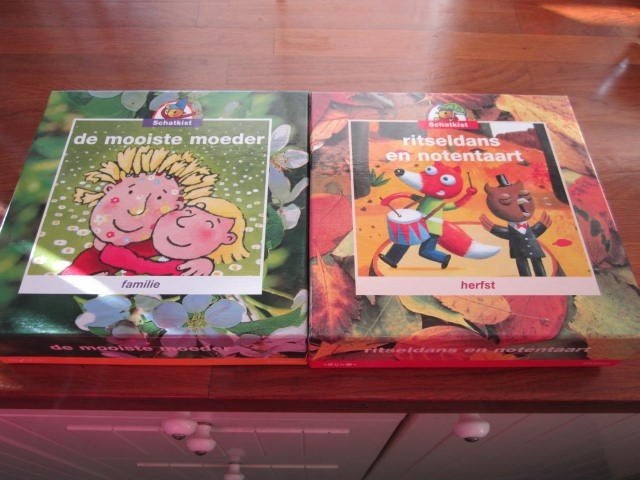 5x Schatkist., Ophalen of Verzenden, Zo goed als nieuw